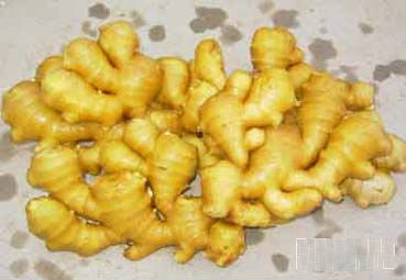 <a href=http://m.xvxgx.cn/ target=_blank class=infotextkey>石家莊白癜風醫院</a>:生姜治療白癜風偏方管用嗎