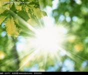 日光浴后出現(xiàn)的皮膚白斑是白癜風(fēng)嗎