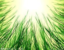 　常見的白癜風引起的并發癥有哪幾種?