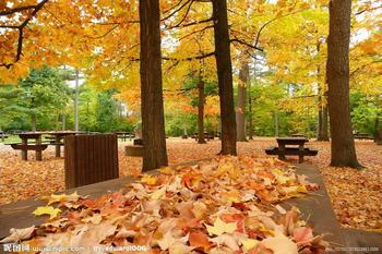 　秋季白癜風擴散跟氣候變化有關嗎