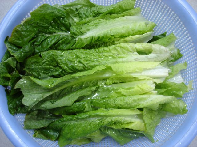 <a href=http://m.xvxgx.cn/ target=_blank class=infotextkey>石家莊白癜風(fēng)醫(yī)院</a>家長該如何做好小兒患者的日常護(hù)理