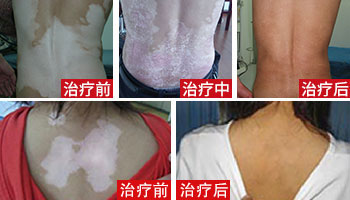 月滿中秋 白白們如何逃過“中秋劫”