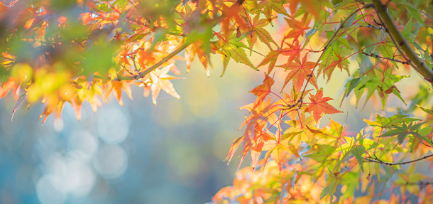 喜迎國慶，金秋送健康北京白癜風醫師大型會診援助活動啟動！