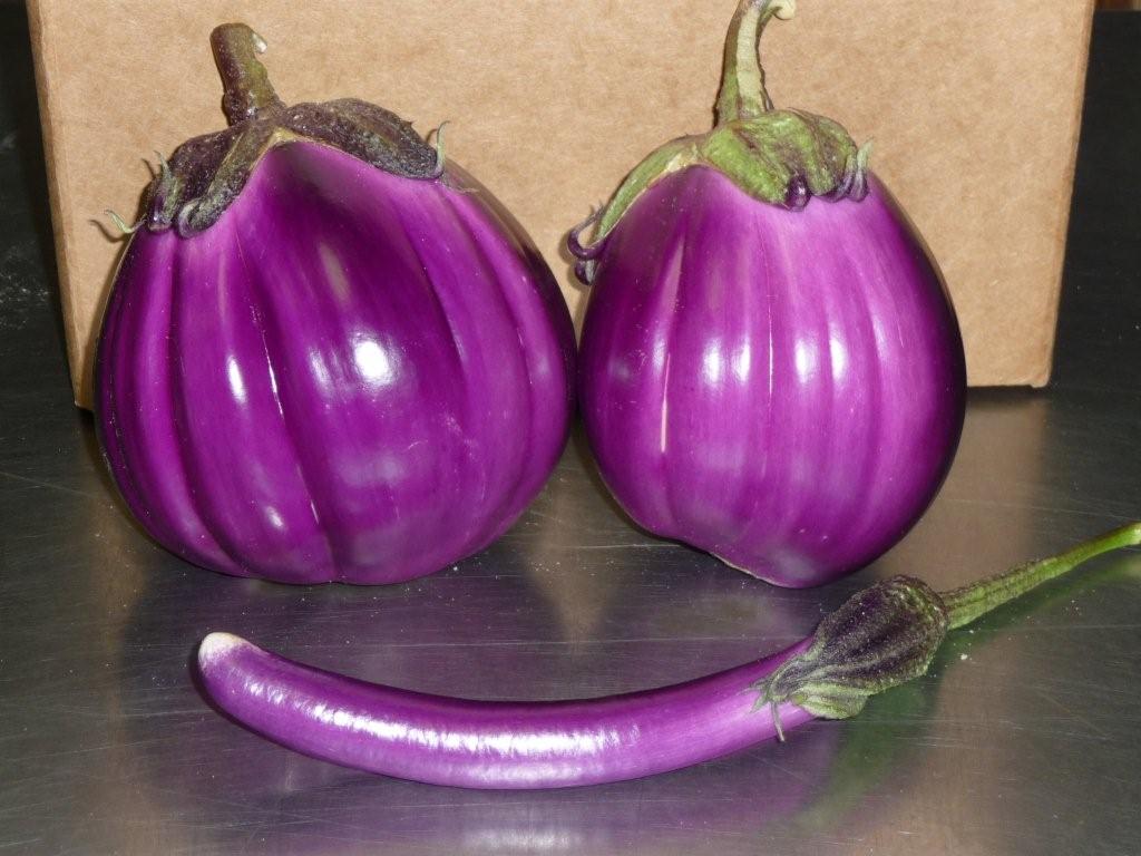 茄子與硫磺可以治療白癜風嗎