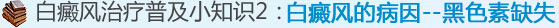 白癜風(fēng)的病因——黑色素缺失